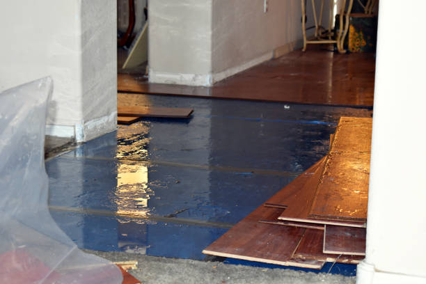 Professional Water Damage Restoration technician working in Eccles, WV